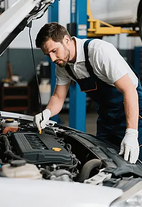 Vehicle Systems Diagnostic and Warranty interface Architecture